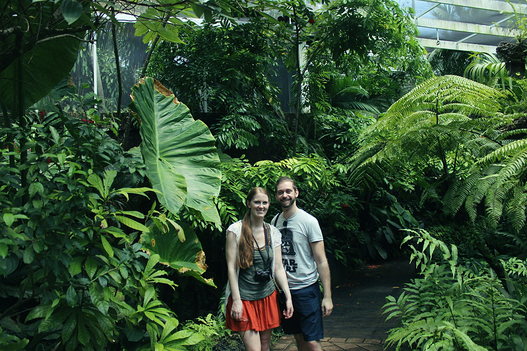 Fairchild Tropical Botanic Garden Botanischer Garten Florida Miami